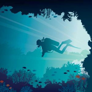 dive o'dive one