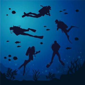 dive o'dive tek club